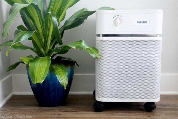 Austin Air Purifier